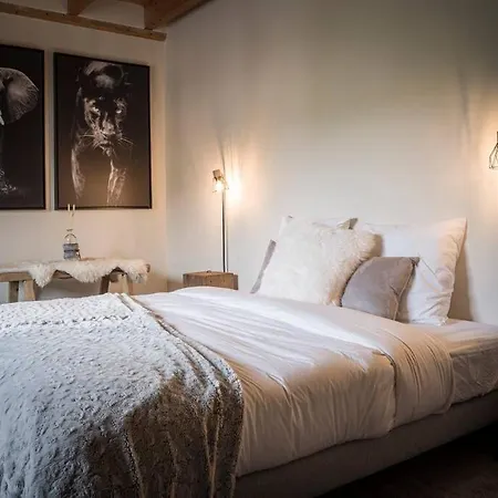 Vakantiehuis Venez Chez Vous - La Grange Du - Vue Montagne Saint-Jorioz